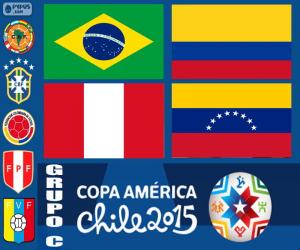 yapboz C grubu, Copa America 2015